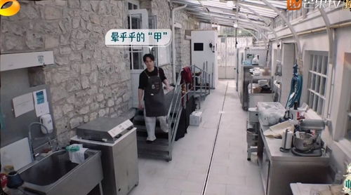 《中餐廳8》爭(zhēng)議升級(jí) 林述巍被鎖冷庫，導(dǎo)演做法引眾怒